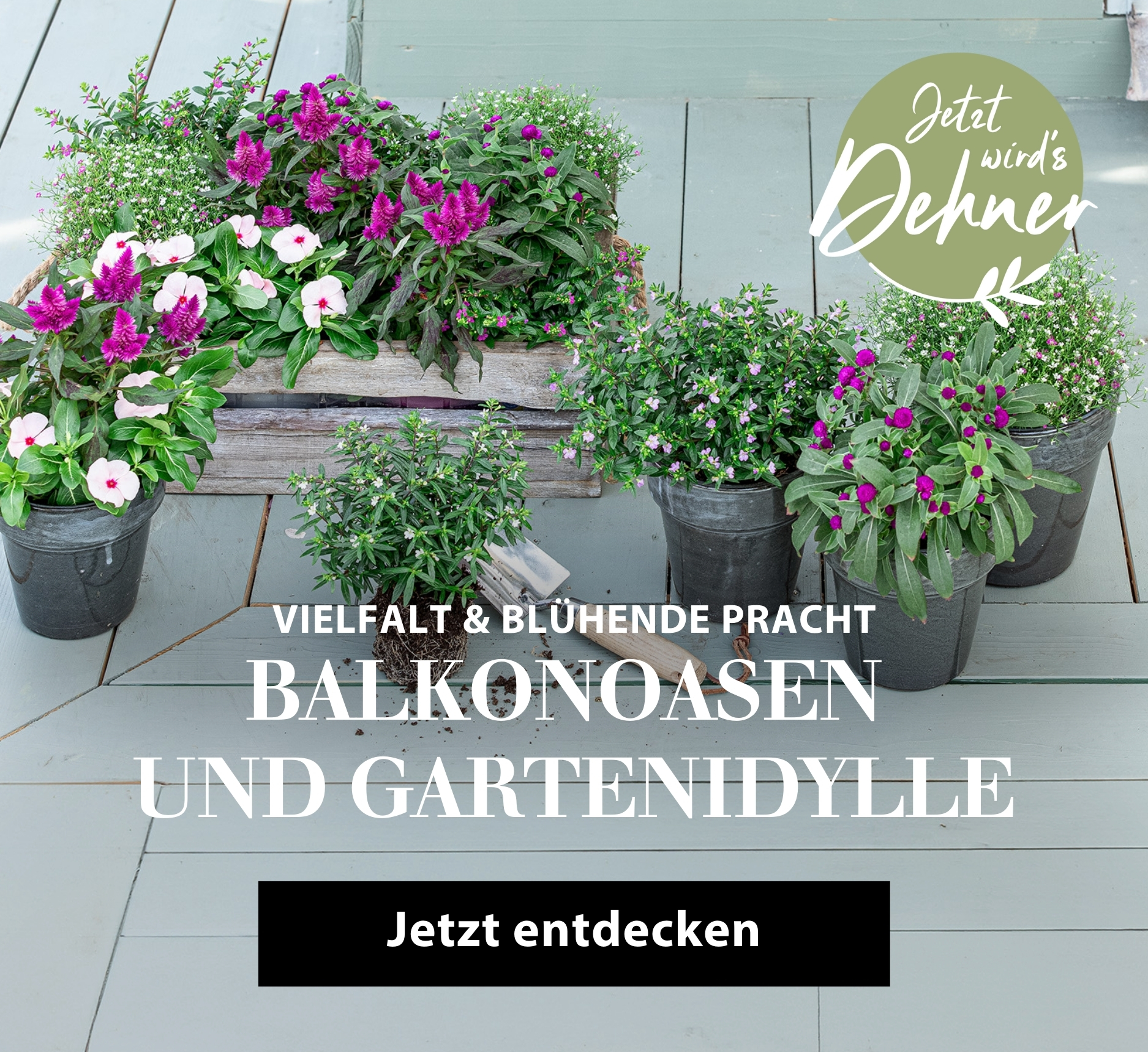 Vielfalt & blühende Pracht - Balkonoasen und Gartenidylle
