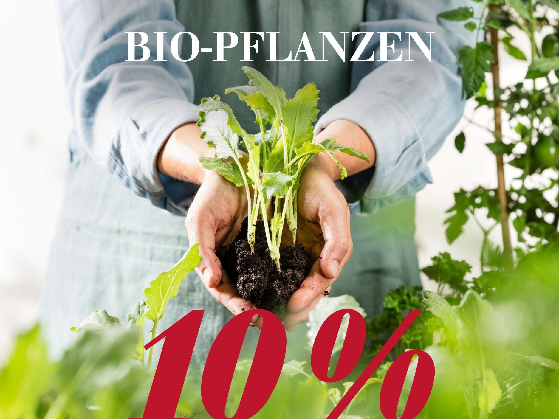 10 % auf Bio-Pflanzen