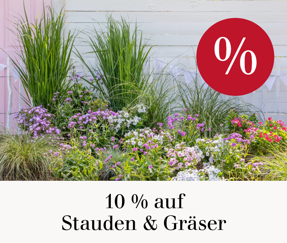 10 % auf Stauden & Gräser