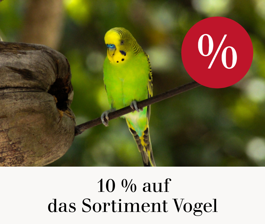 10 % auf das Sortiment Vogel