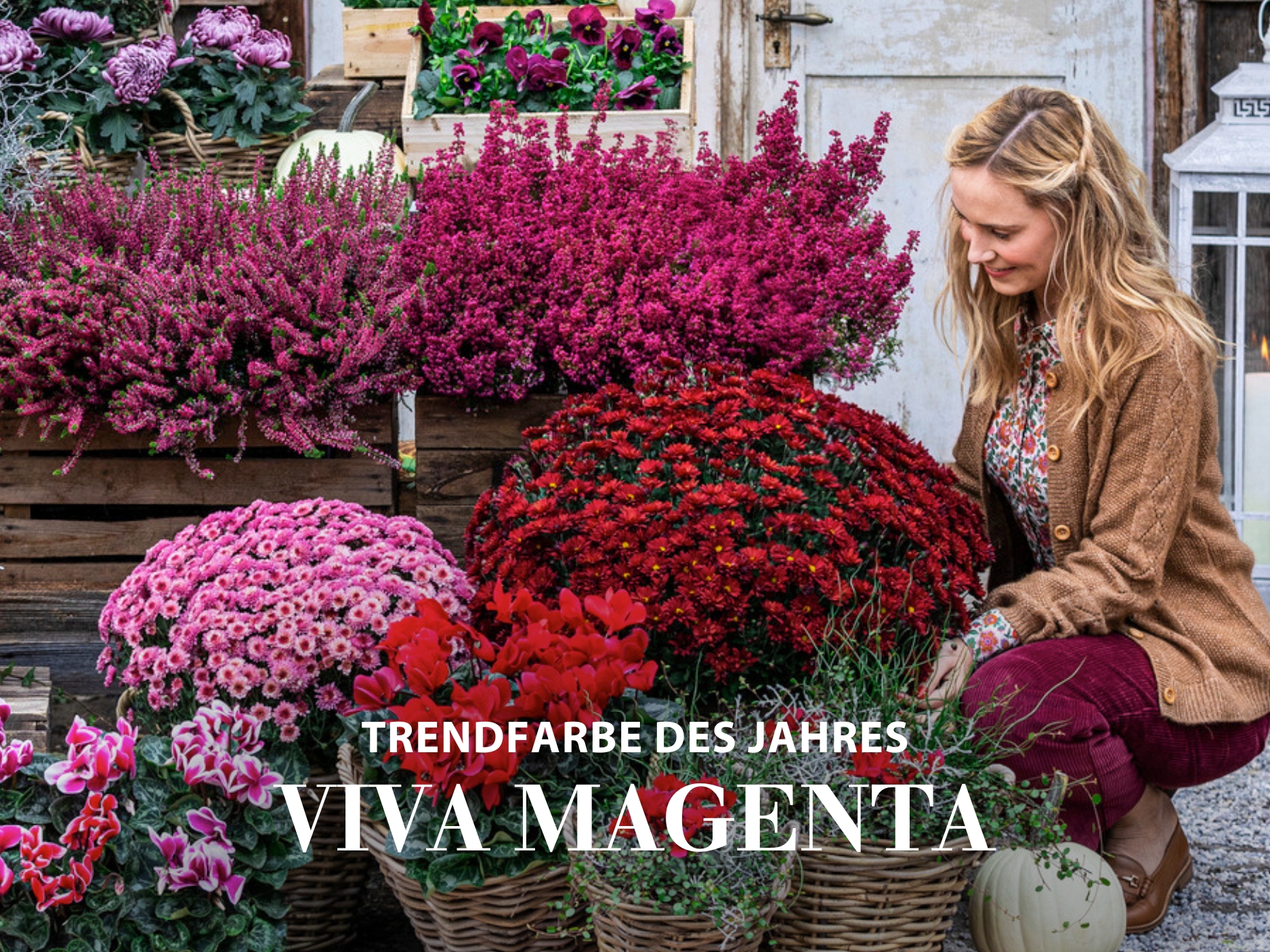 Viva Magenta - farbenfroher Herbst