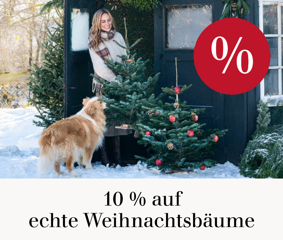 10 % auf echte Weihnachtsbäume