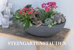 Steingartenstauden