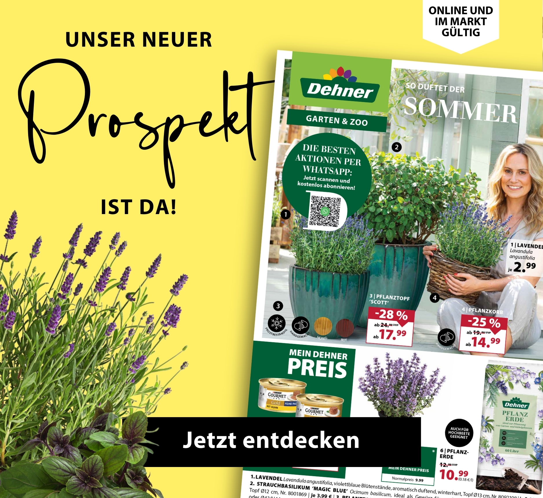 Unsere neuer Prospekt ist da - nur bis Samstag gültig
