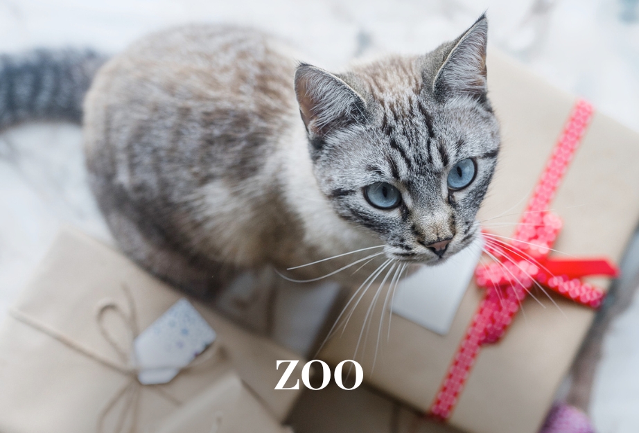 Zoo