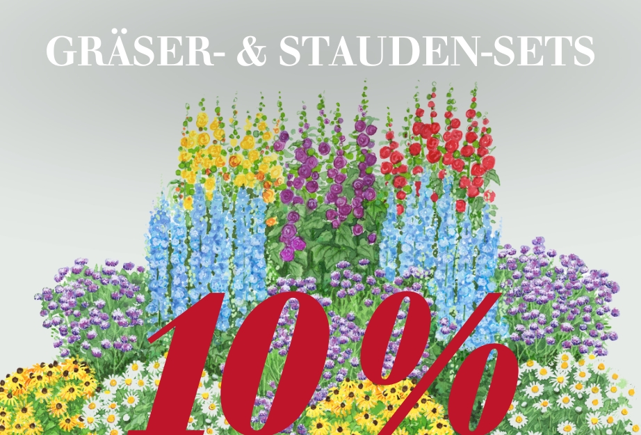 10 % auf Gräser- & Stauden-Sets