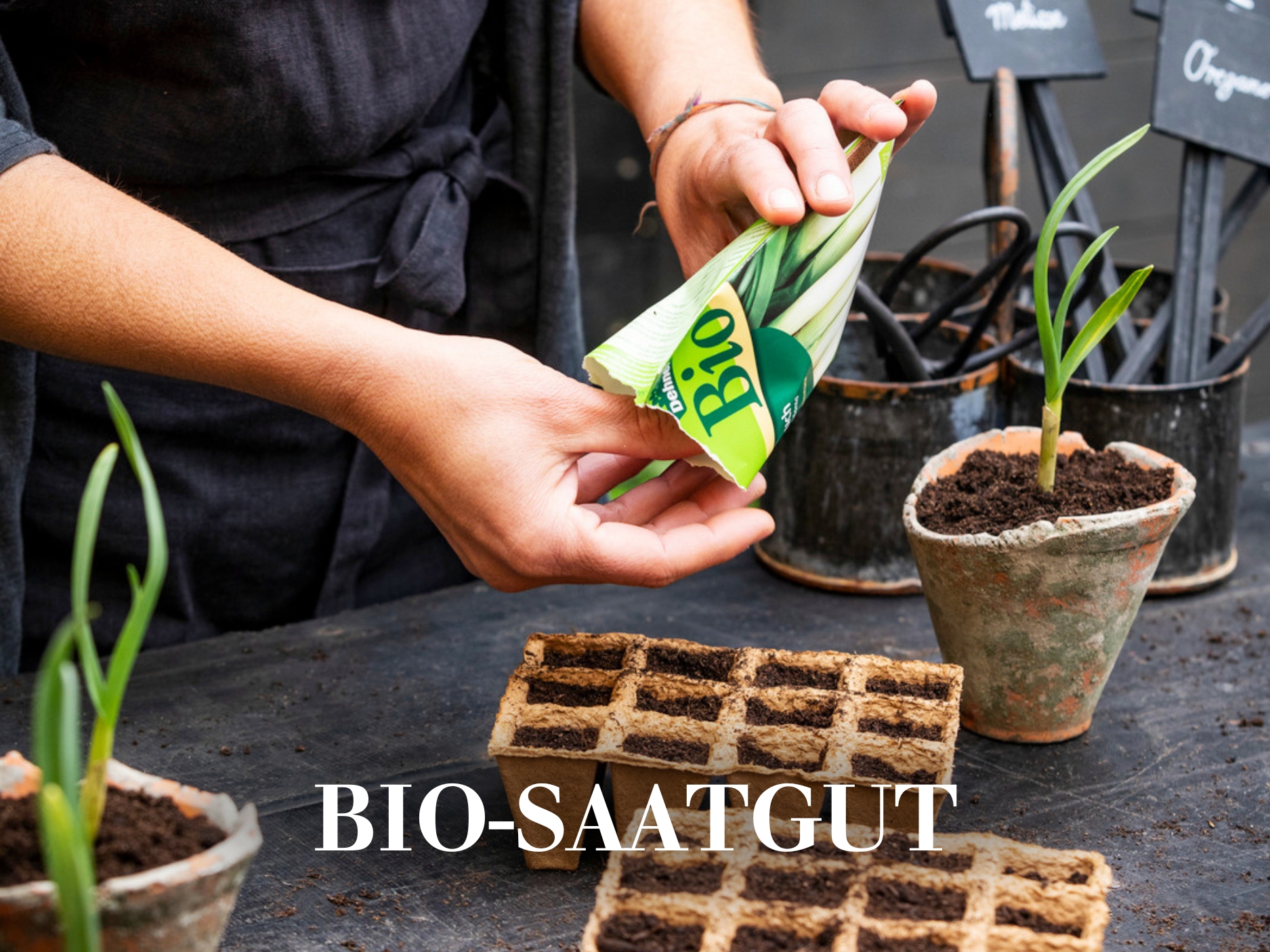 Bio-Sämereien