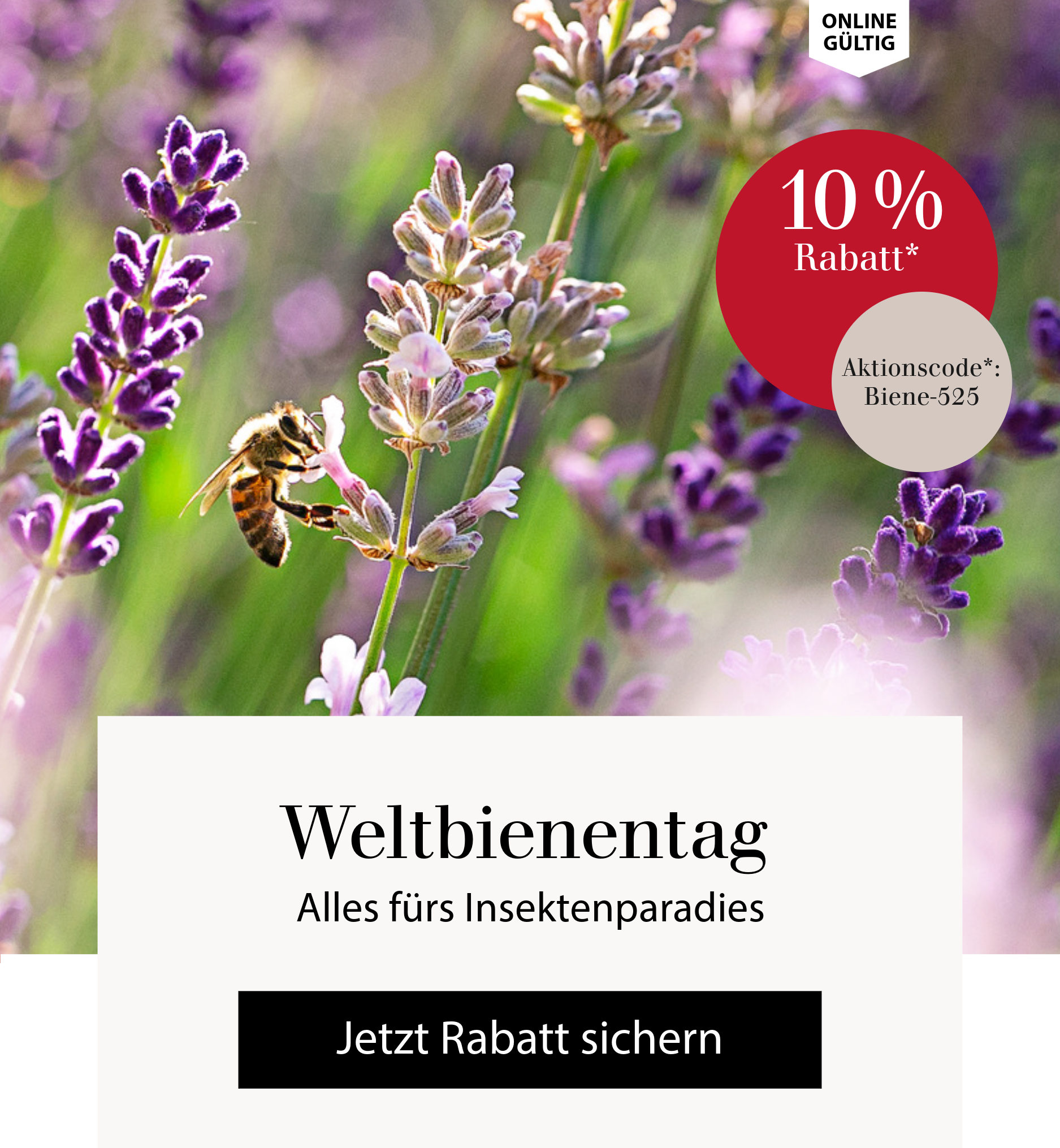 Weltbienentag - Alles fürs Insektenparadies - Jetzt 10 % mit Code* Biene-525 sparen