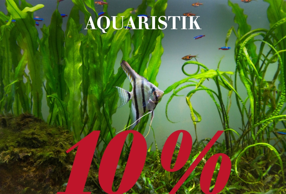 Nur noch heute - 10 % auf Aquaristik