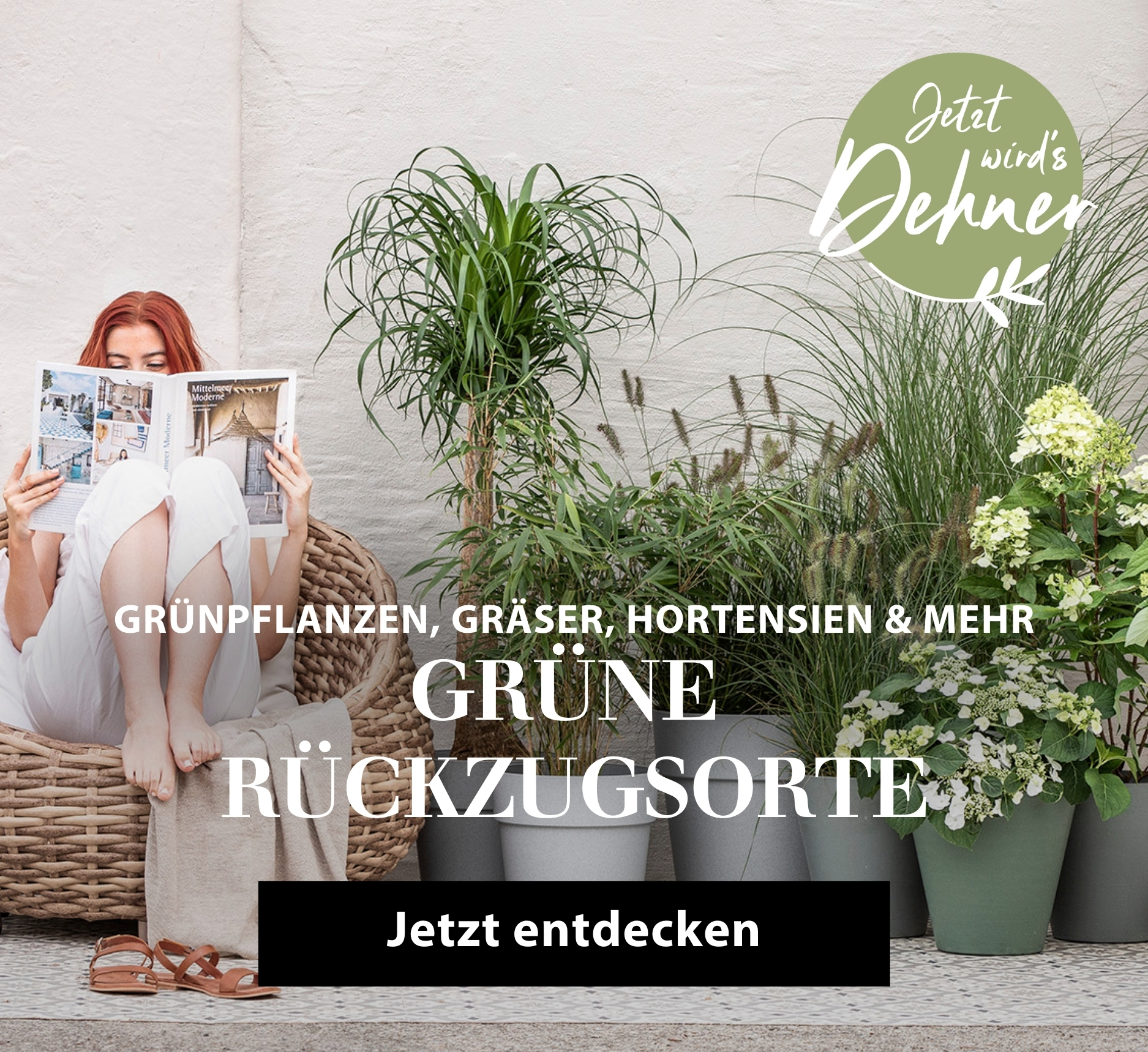 Grüne Rückzugsorte - Grünpflanzen, Gräser, Hortensien & mehr