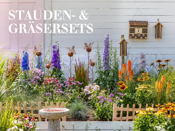 Stauden & Gräsersets
