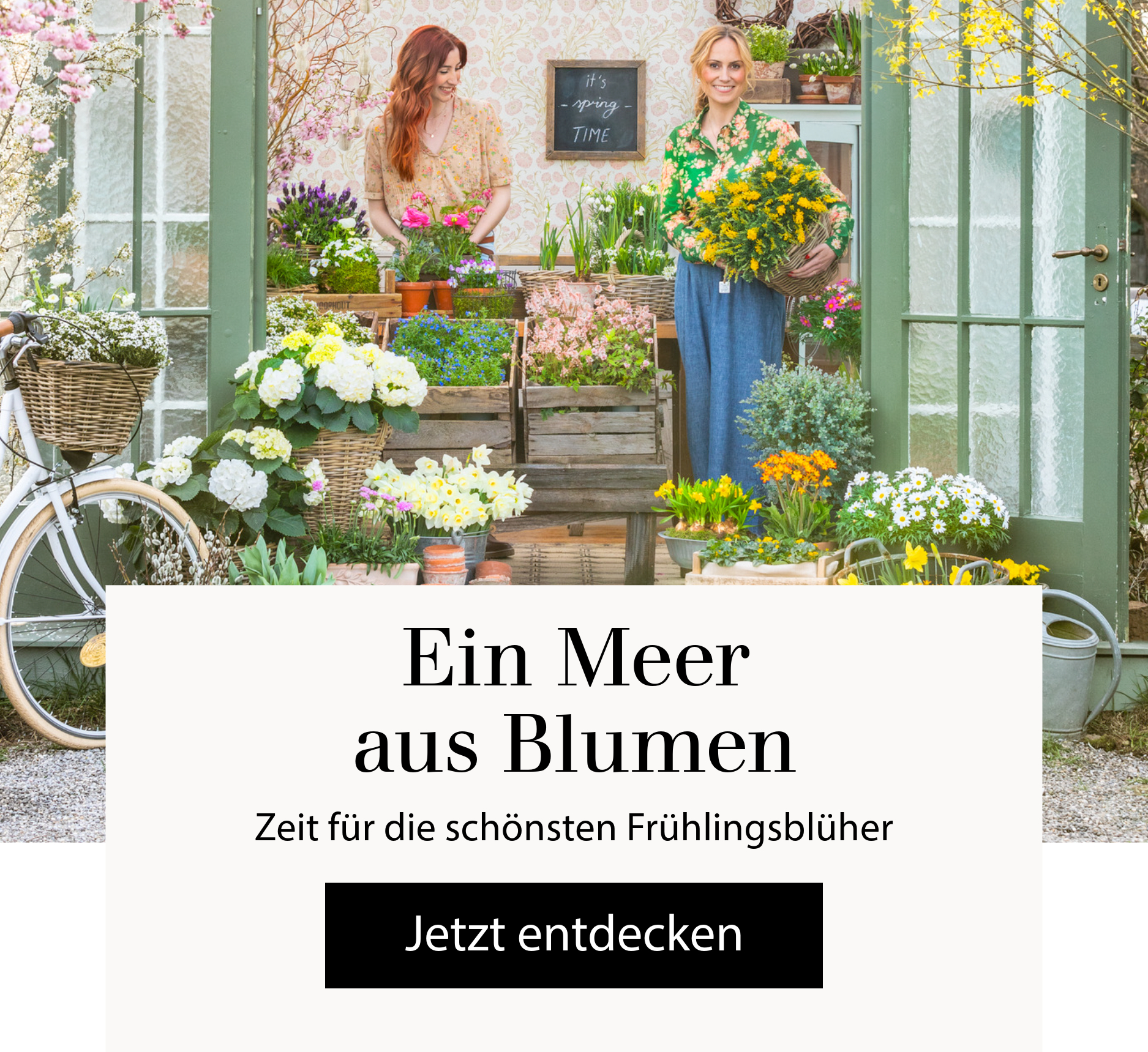 Ein Meer aus Blumen - Zeit für die schönsten Frühlingsblüher
