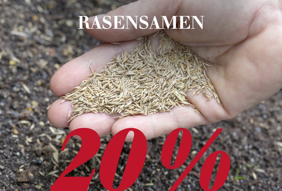 20 % auf Rasensamen