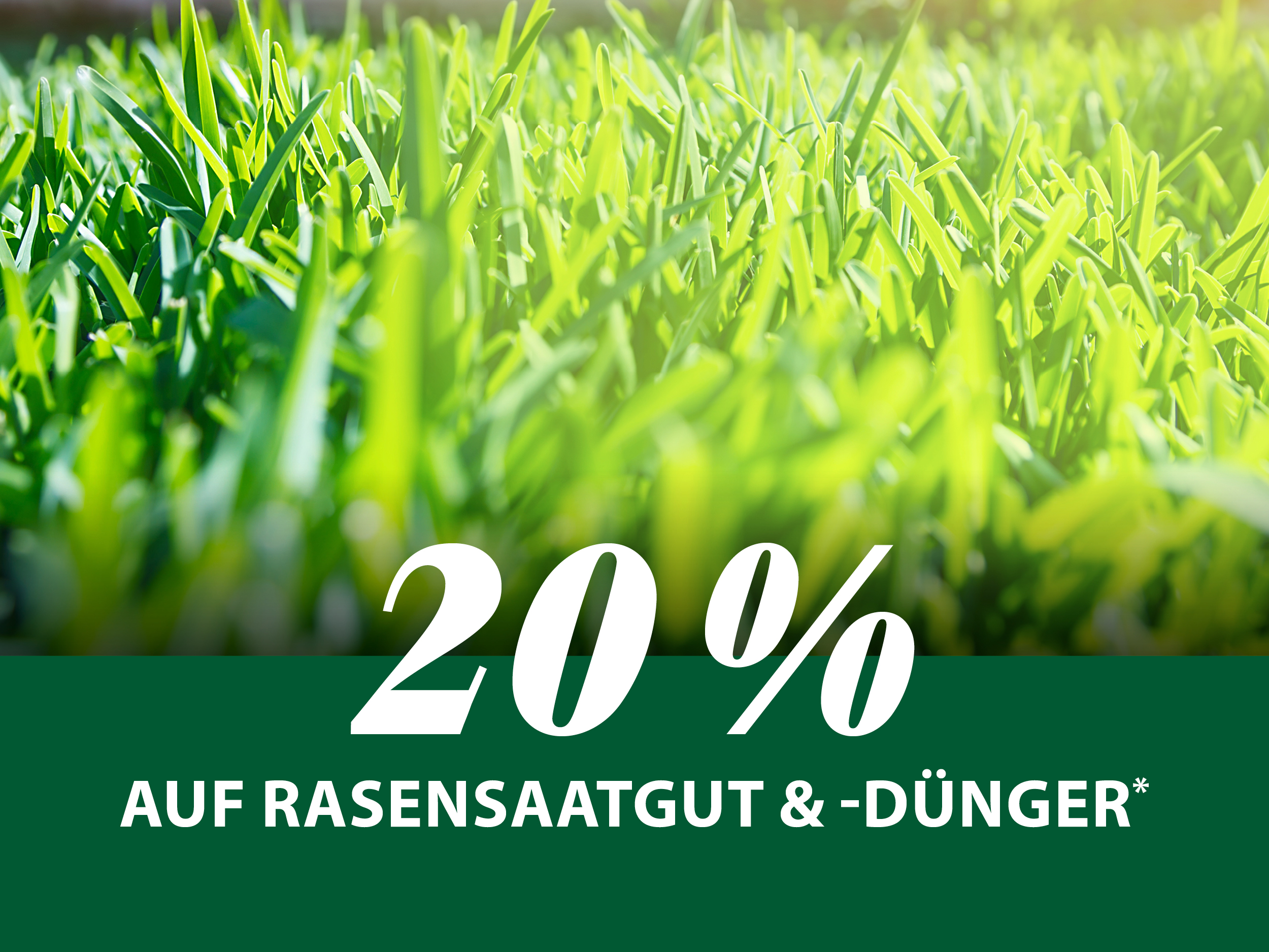 20 % auf Rasensaatgut & -Dünger*
