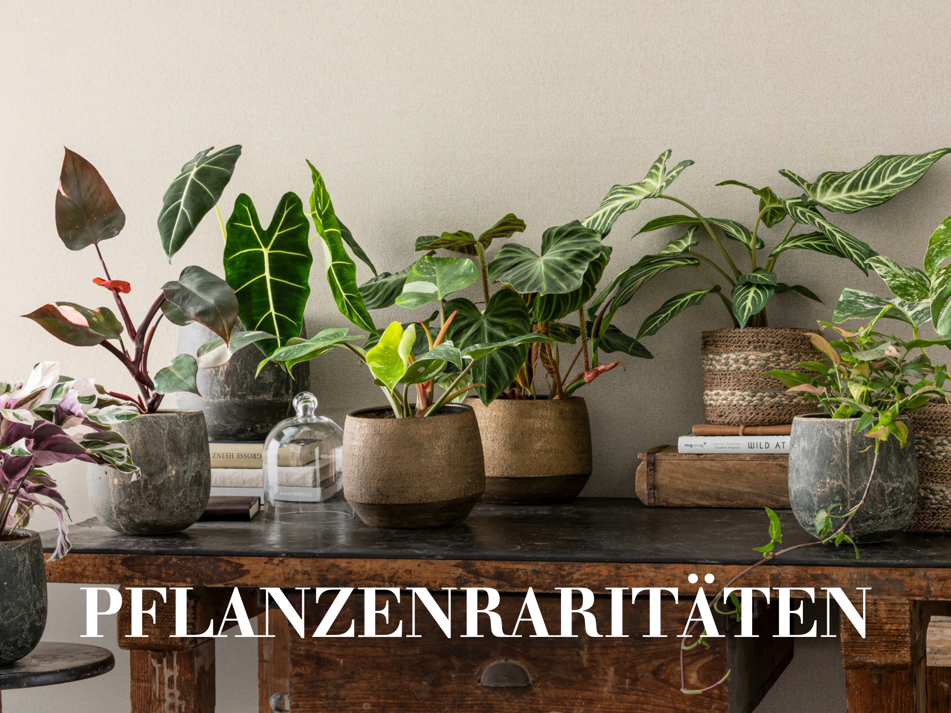 Pflanzen Raritäten