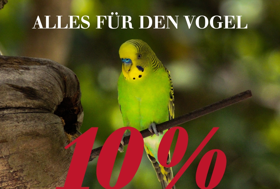 Nur noch heute - 10 % auf Alles für den Vogel