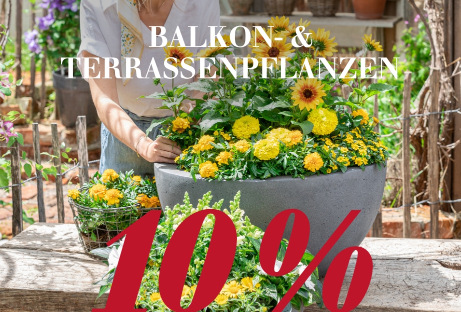 10 % auf Balkon- & Terrassenpflanzen