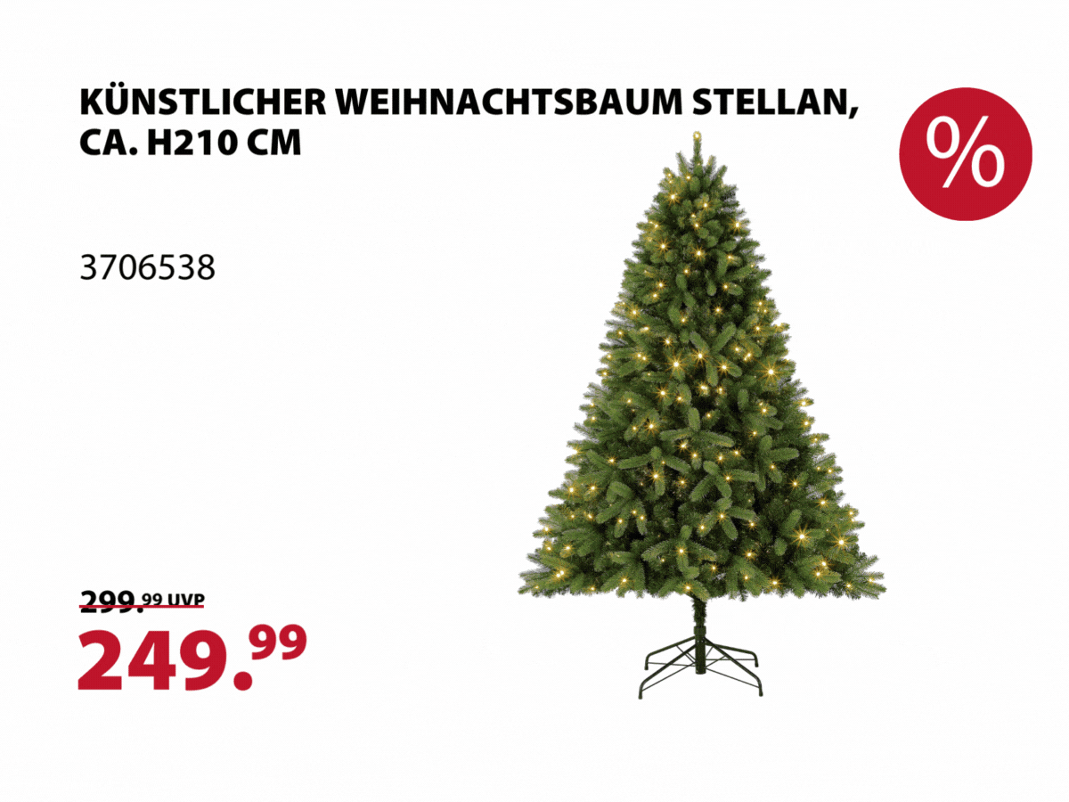 Highlights der Beilage