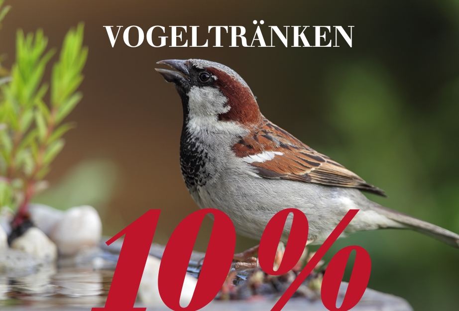 Vogeltränken