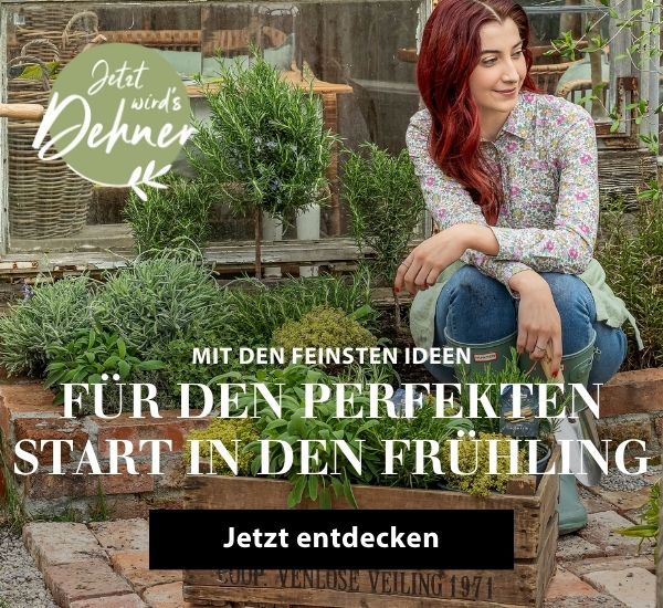 Mit den feinsten Ideen für einen perfekten Start in den Frühling