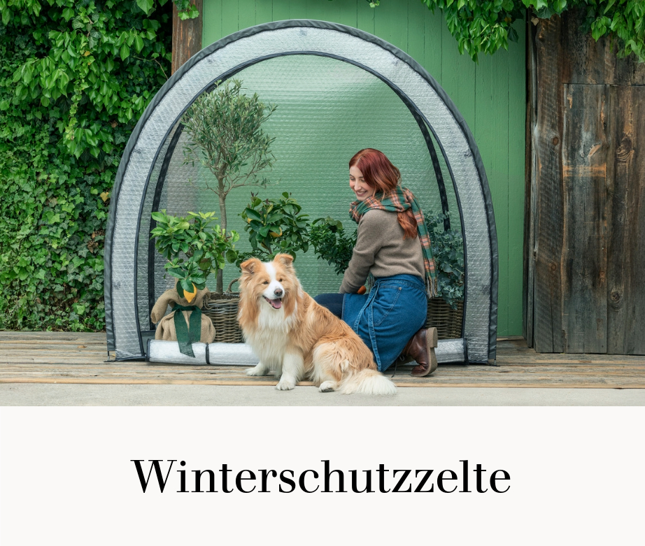 Winterschutzzelte