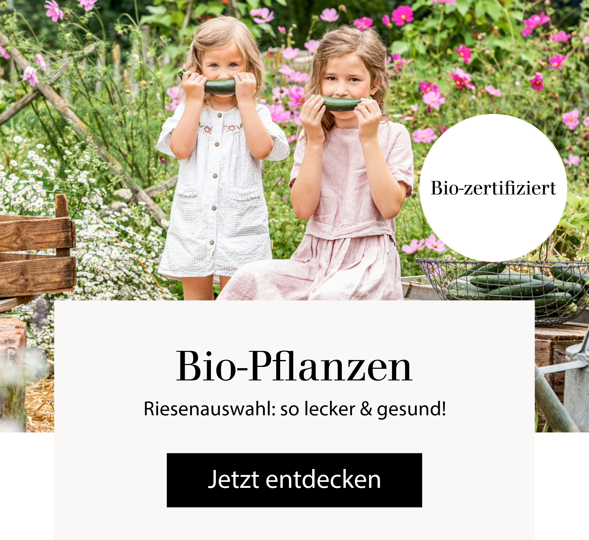 Bio-Pflanzen Riesenauswahl - Sooo gesund & lecker