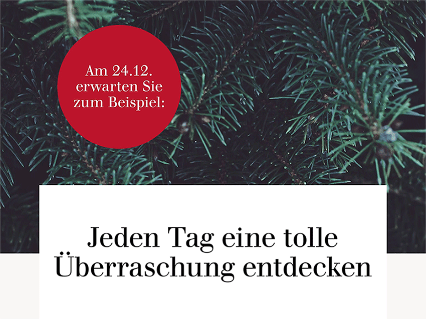 Jeden Tag eine tolle Überraschung im Dehner Adventskalender entdecken