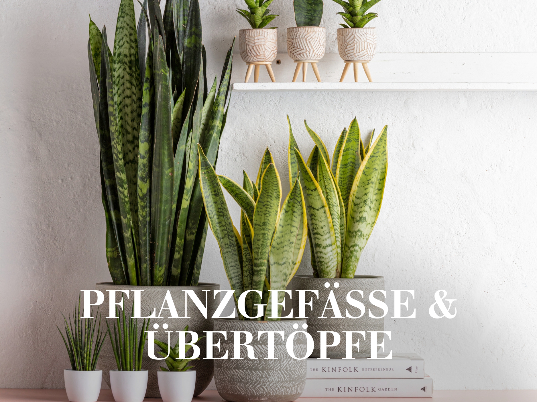 Pflanzgefässe & Übertöpfe
