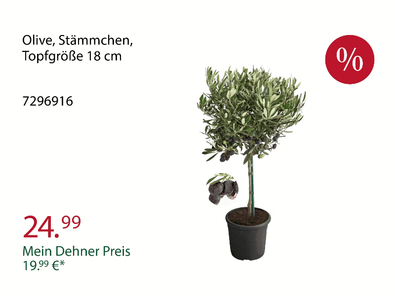 Top-Angebote aus der Werbung - Nur solange der Vorrat reicht