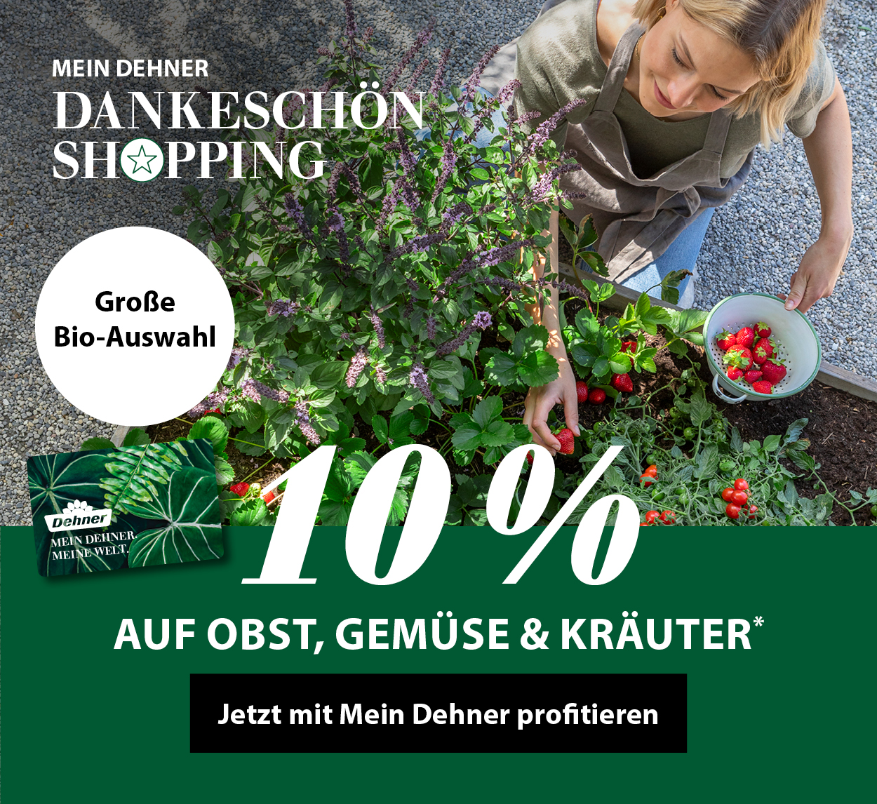 Selbstversorger: 10 % Aktion auf Obst, Gemüse, Kräuter