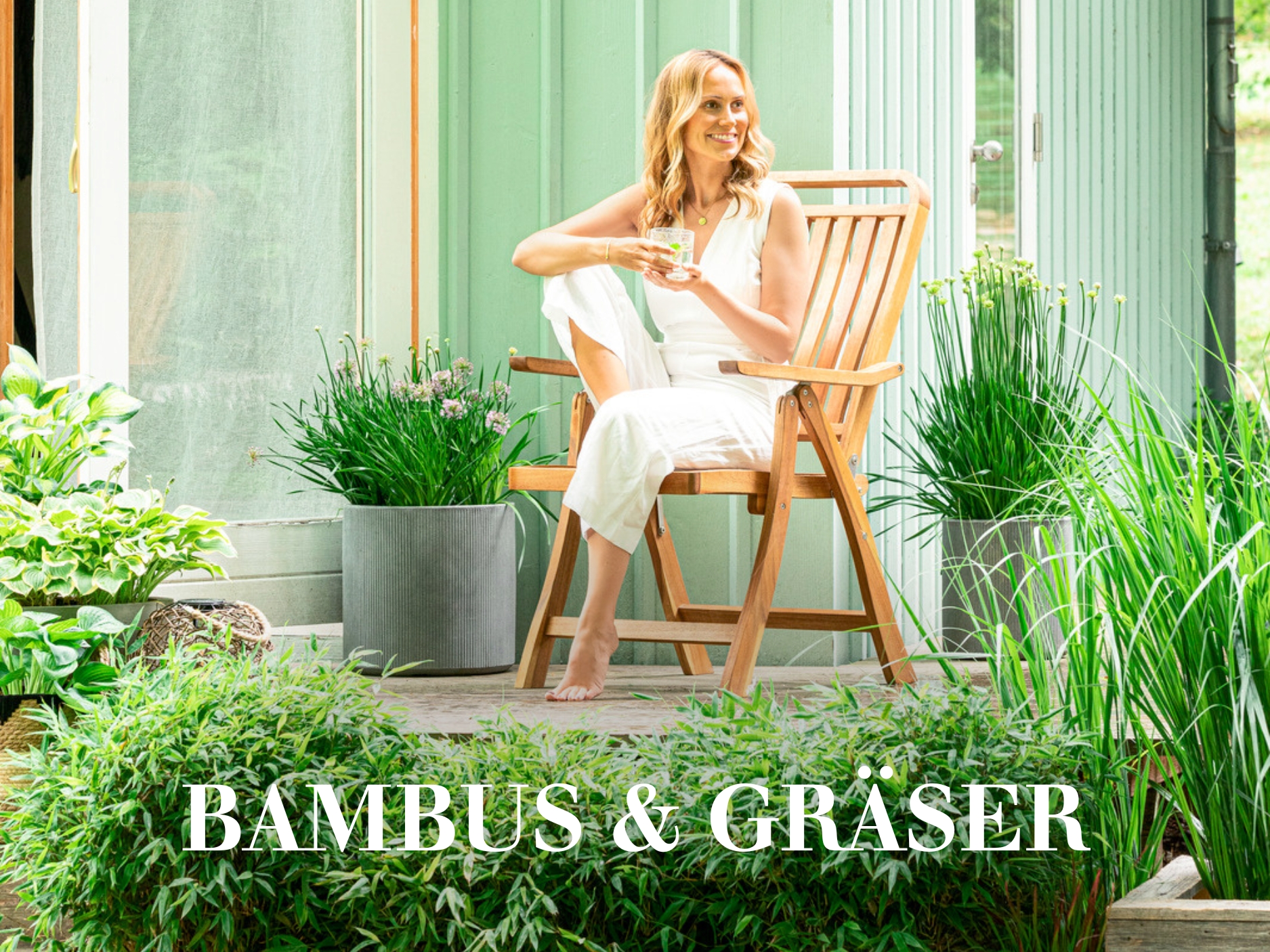 Bambus & Gräser