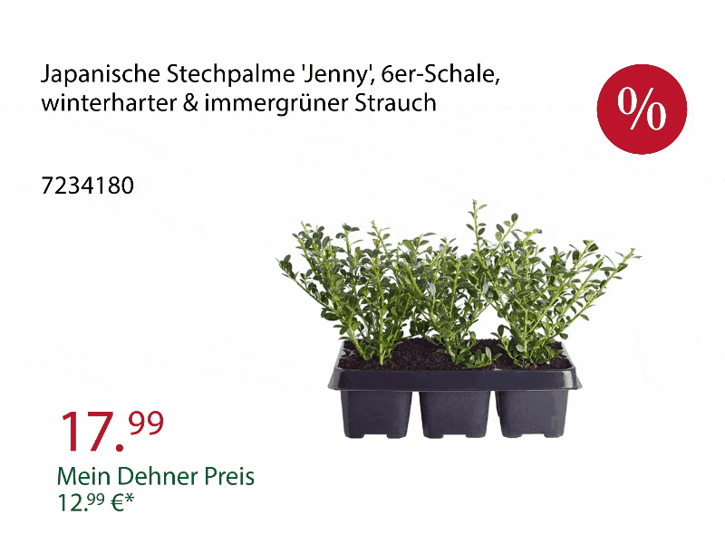 Top-Angebote aus der Werbung - Nur solange der Vorrat reicht