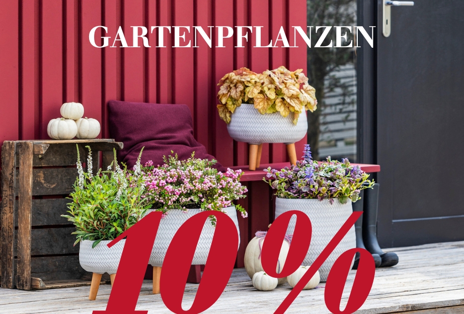 Gartenpflanzen