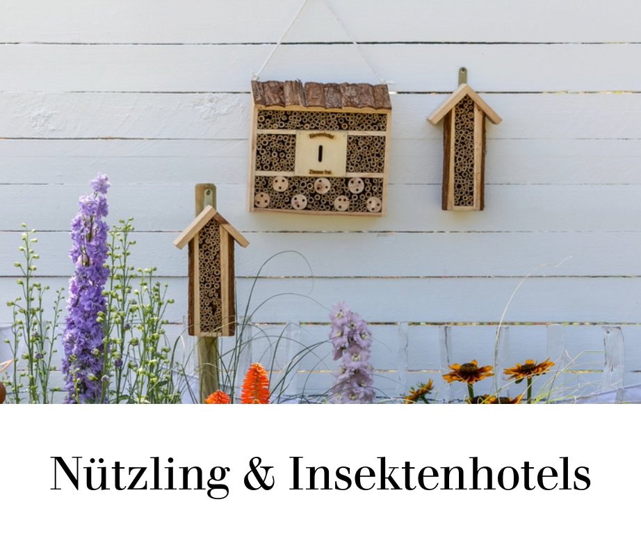Nützling & Insektenhotels