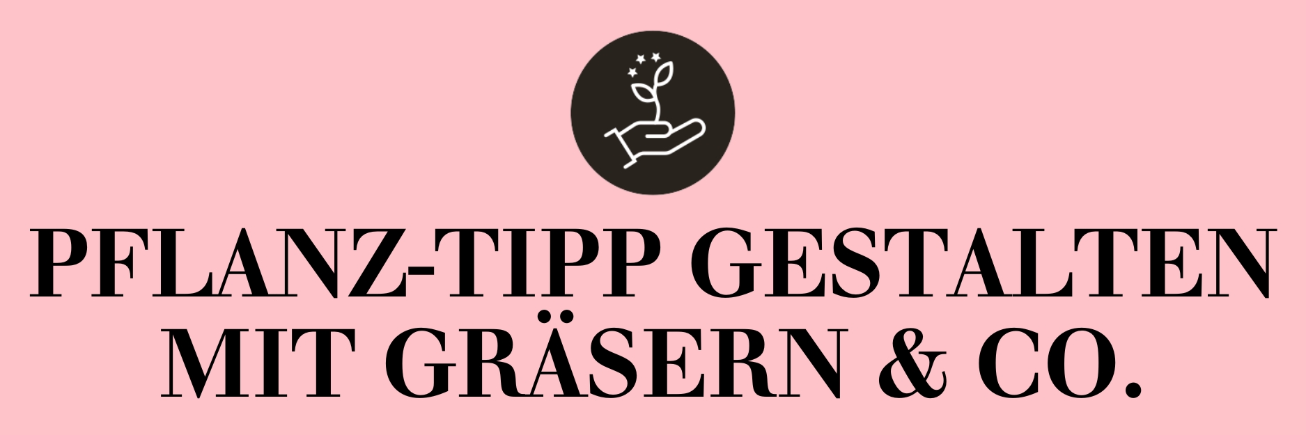 Pflanz-Tipp Gestalten mit Gräsern & Co.