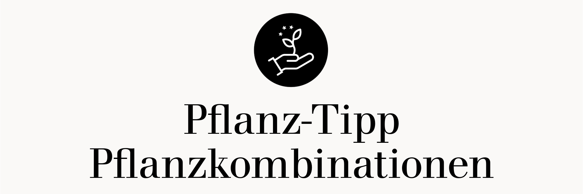 Pflanztipp Pflanzkombinationen