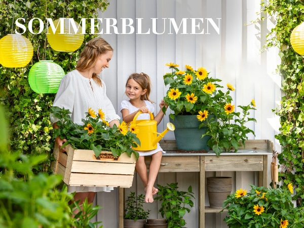 Sommerblumen