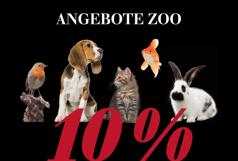 Nur noch heute - 10 % auf das Zoo-Sortiment
