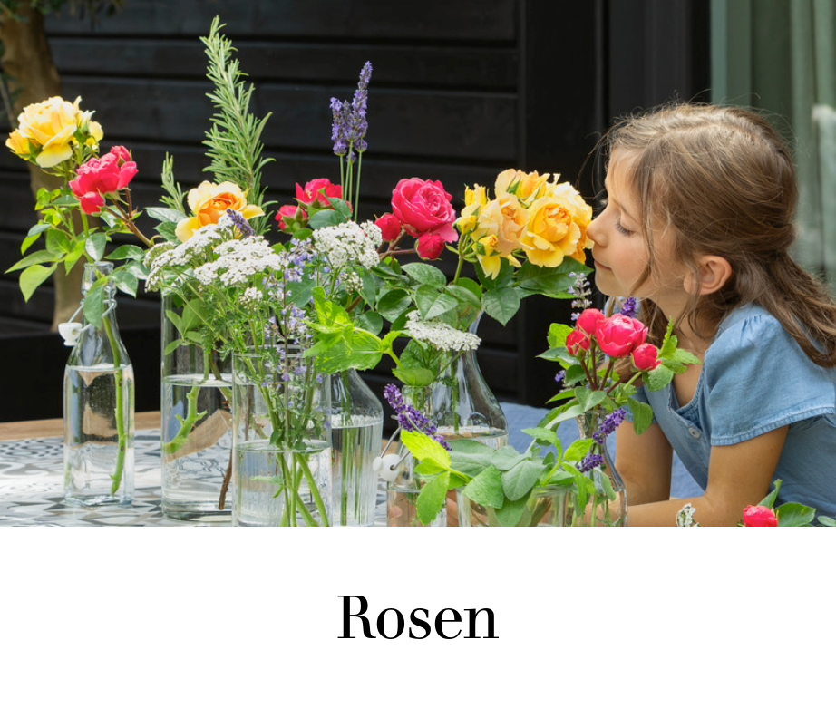 Rosen