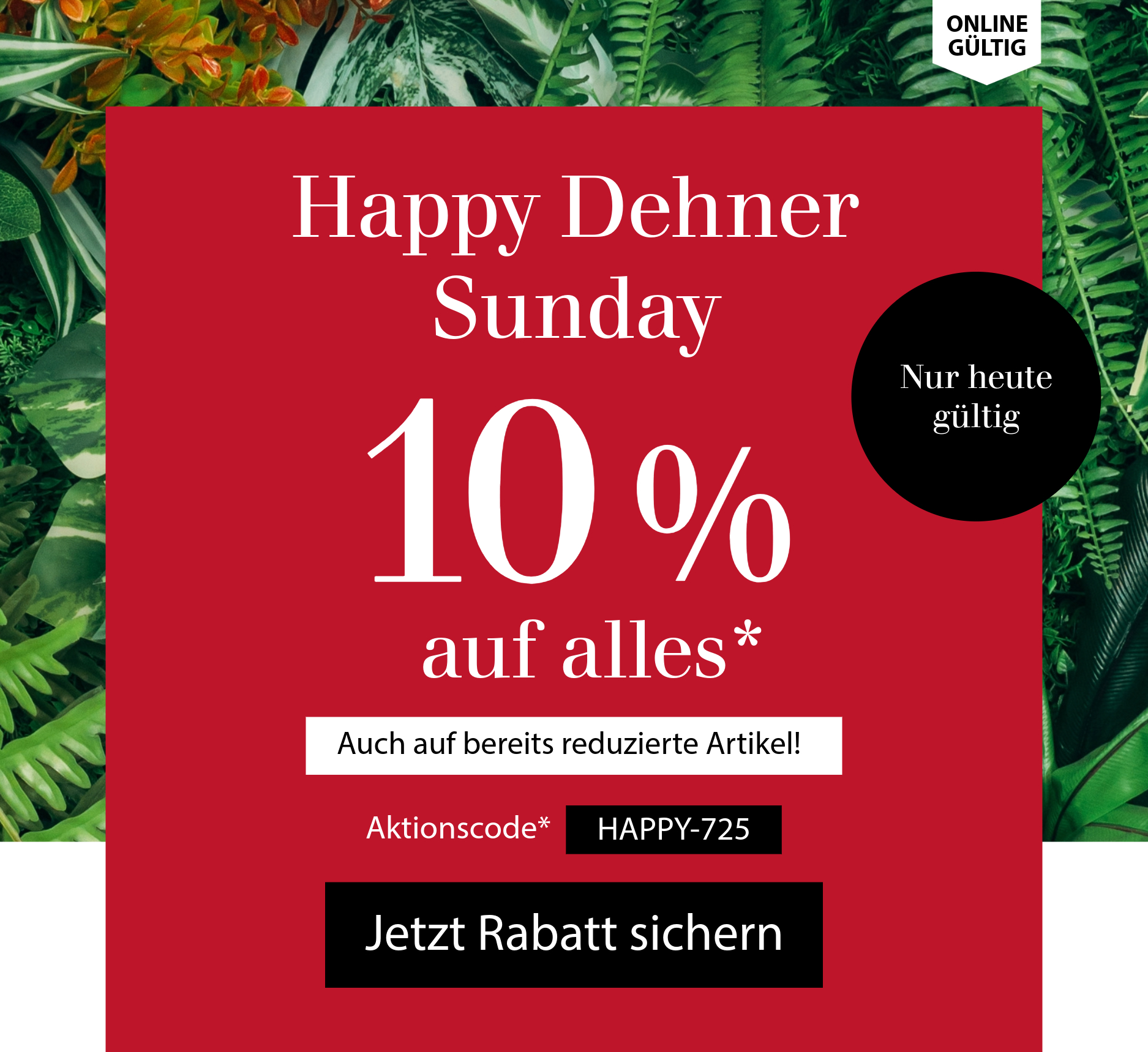 Happy Dehner Sunday: 10 % auf alles
