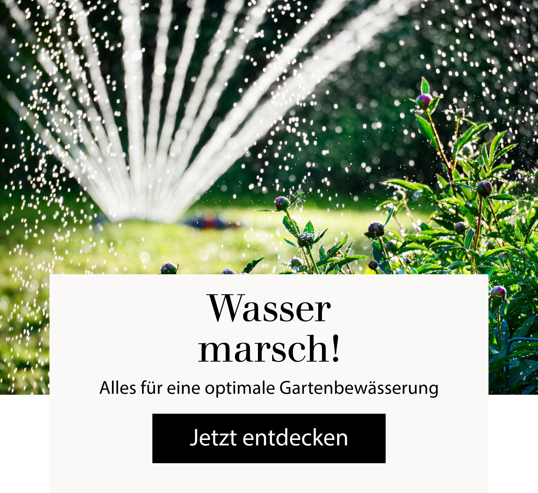 Wasser marsch! Alles für eine optimale Gartenbewässerung - jetzt entdecken