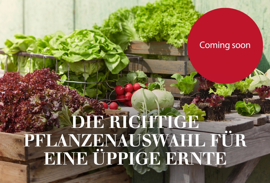 Die richtige Pflanzenauswahl für eine üppige Ernte