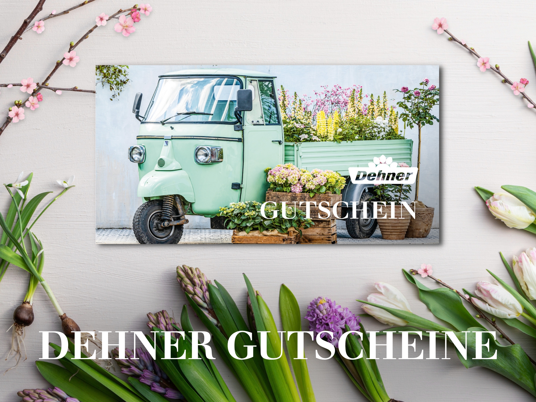 Die Top-Geschenkidee zum Valentinstag - Dehner Gutscheine