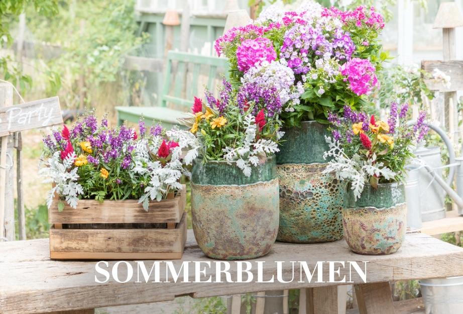 Sommerblumen