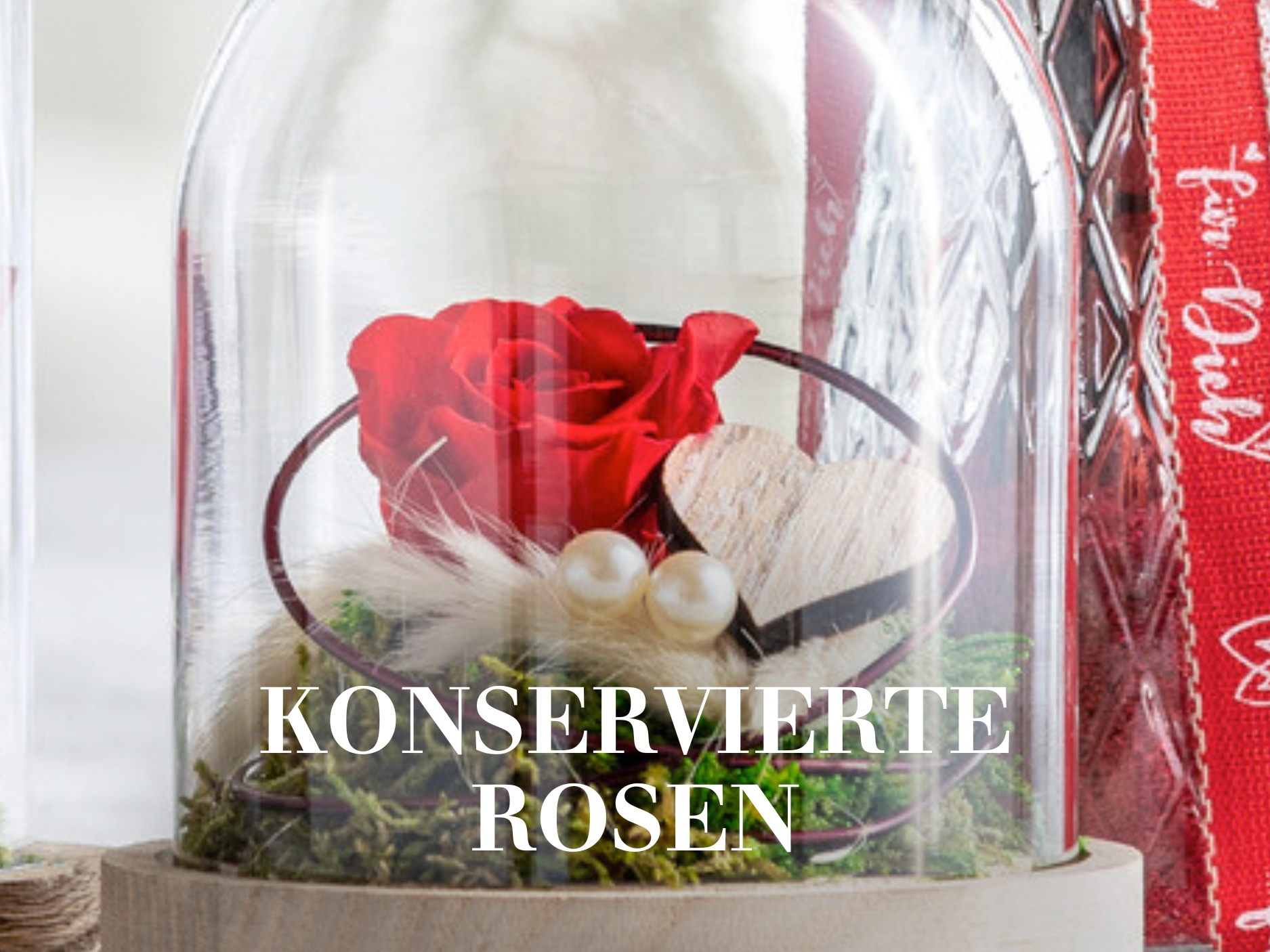 Konservierte Rosen zum Valentinstag schenken