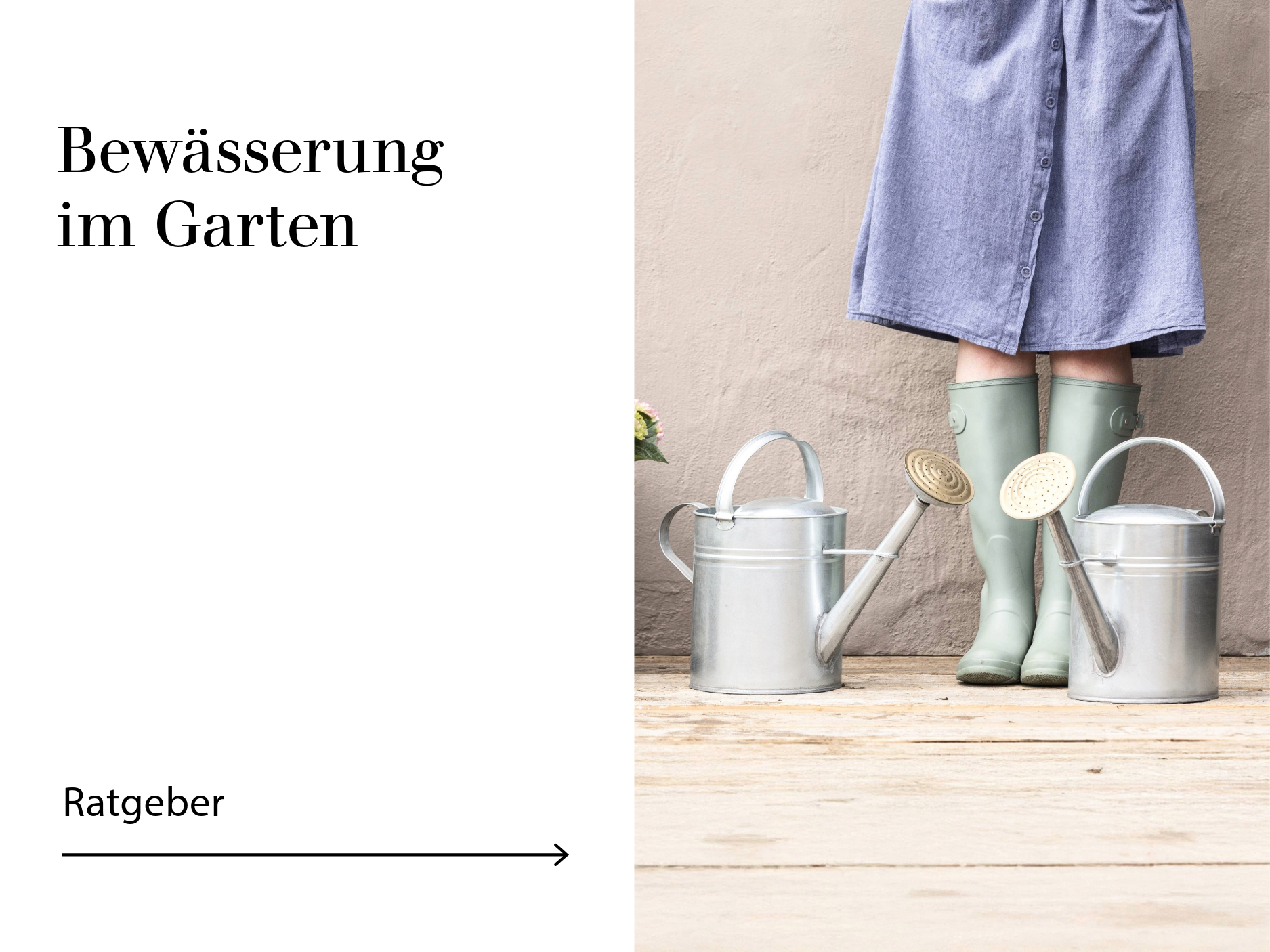 Ratgeber Bewässerung im Garten