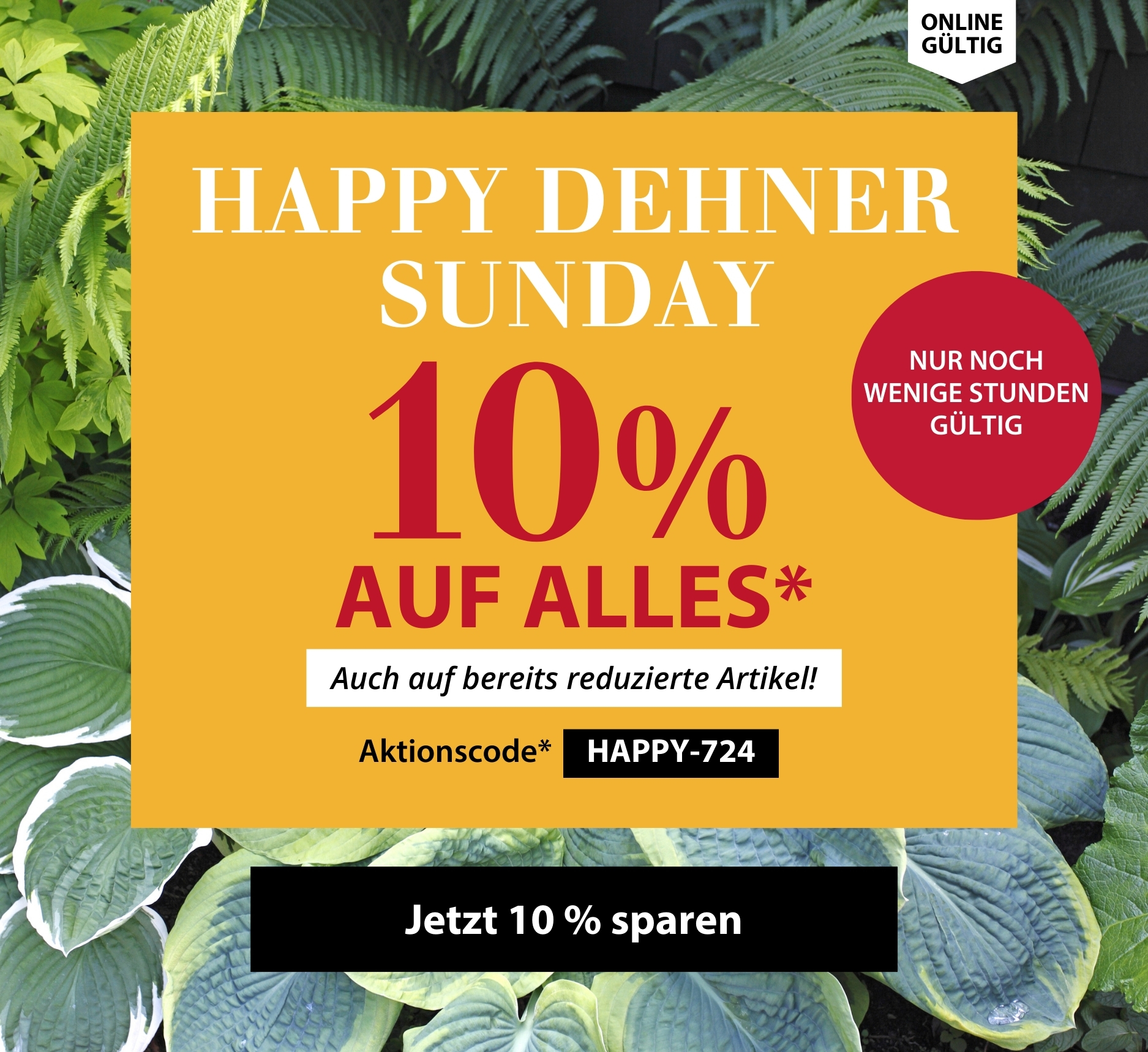 10 % auf ALLES - Happy Dehner Sunday