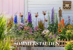Sommerstauden