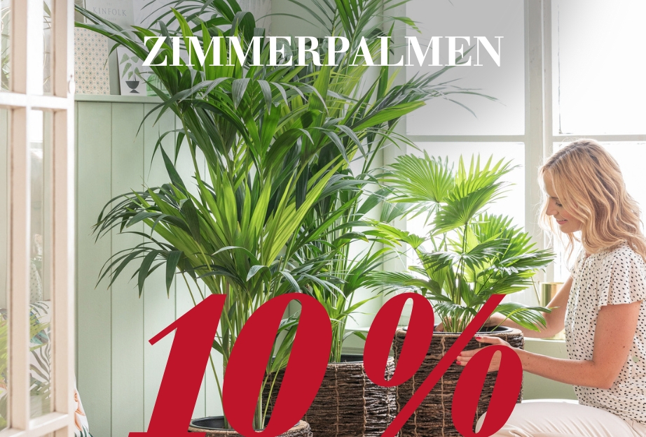 Zimmerpalmen