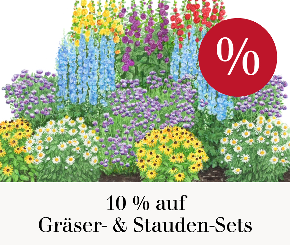 10 % auf Gräser- & Stauden-Sets